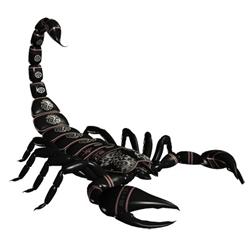Es zinu sapni: ko sapņo skorpions?