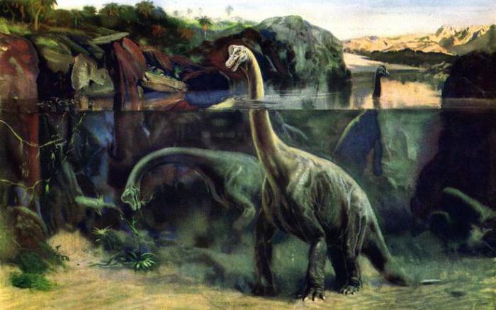 Dinozauri ar garu kaklu: šķirnes, apraksts, biotops