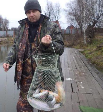Apmaksāta zveja Belavino