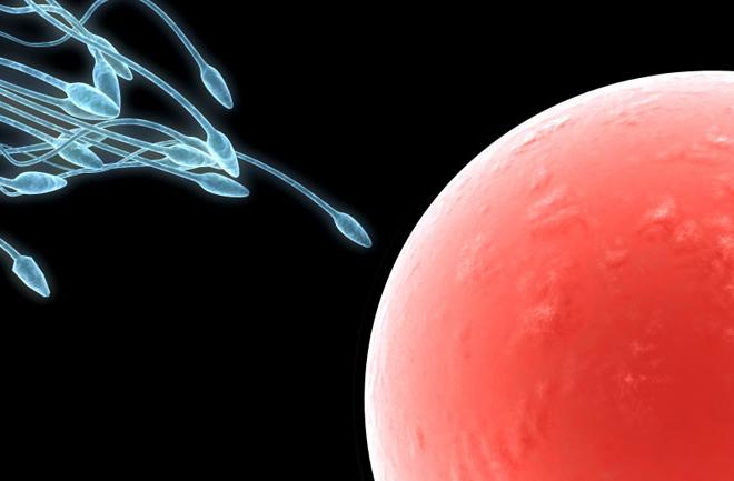 Cik daudz dzīvo spermatozoīdu un cik viņi izceļas ar ejakulāciju